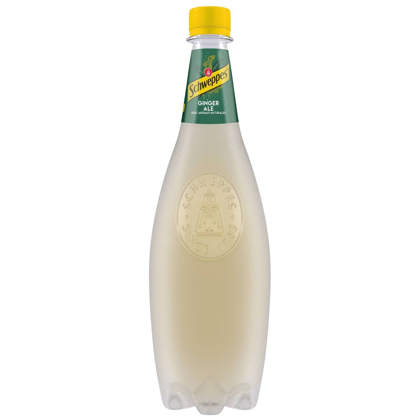 Schweppes Ginger Ale Carbonated Soft Drink 1L fizzy ginger soda bottle