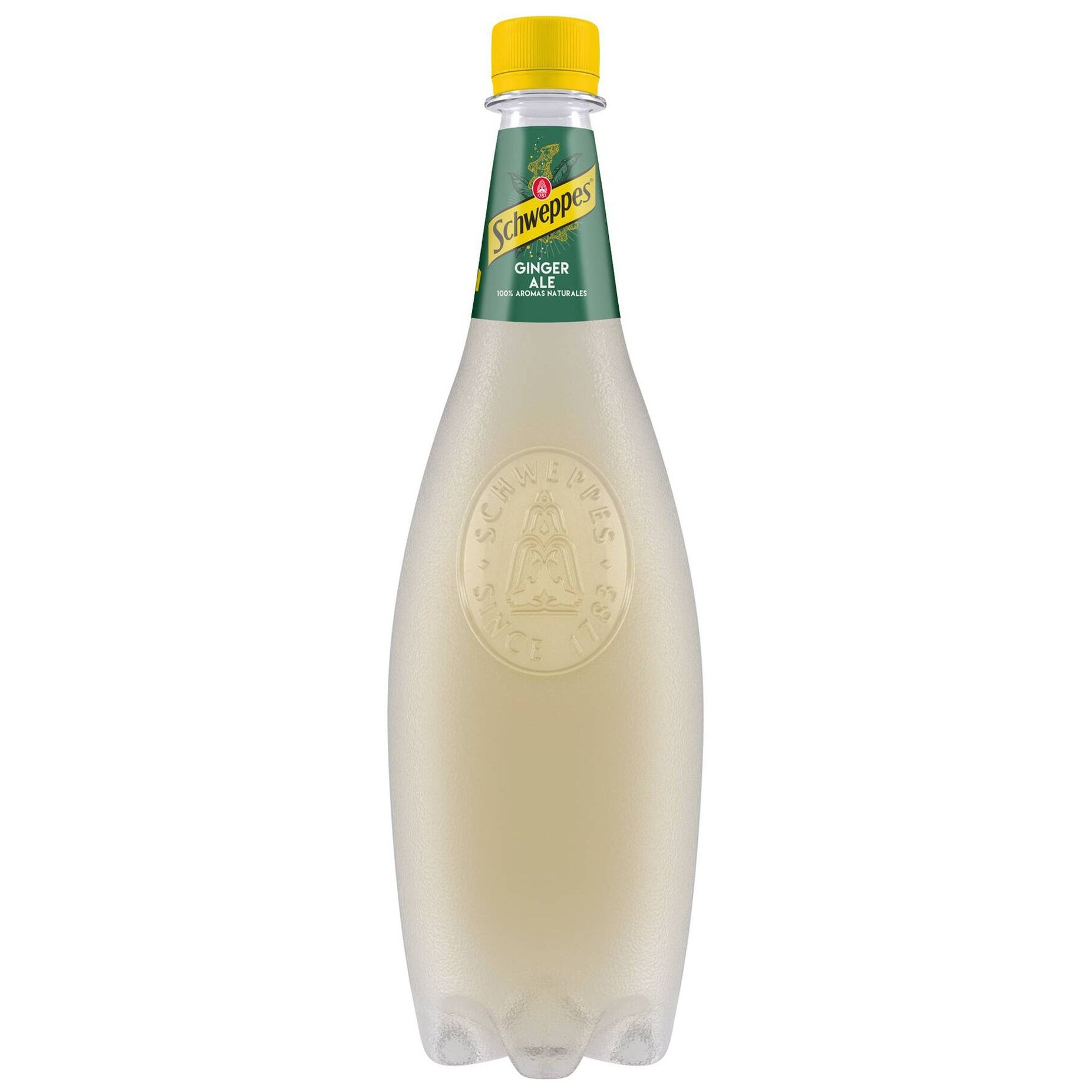 Schweppes Ginger Ale Carbonated Soft Drink 1L fizzy ginger soda bottle