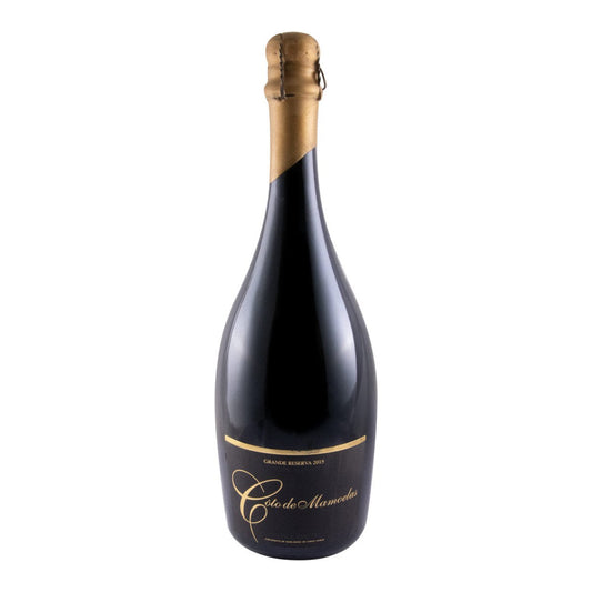 Côto de Mamoelas Alvarinho Grande Reserva Brut Sparkling White Wine Vinho Verde 2015 750ml 13% ABV