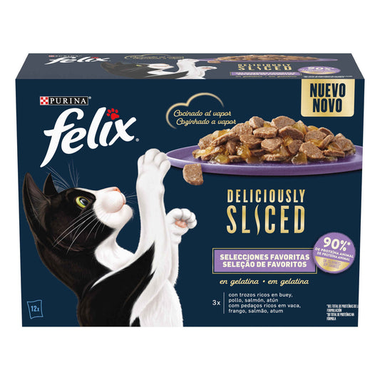 Adult Cat Wet Food Favorites Selection Purina Felix 12 x 80g